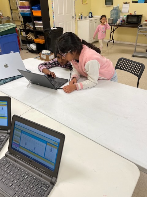 Two students concentrating on a coding project together.
